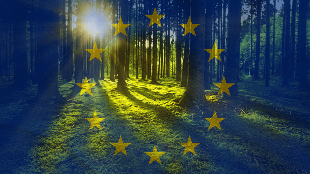 Mossy forest with EU flag overlay