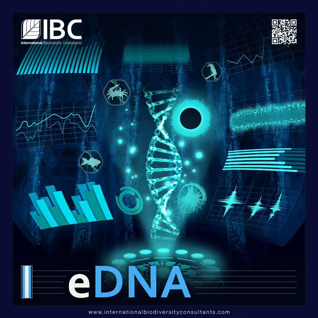 International Biodiversity Consultants Ltd - eDNA
