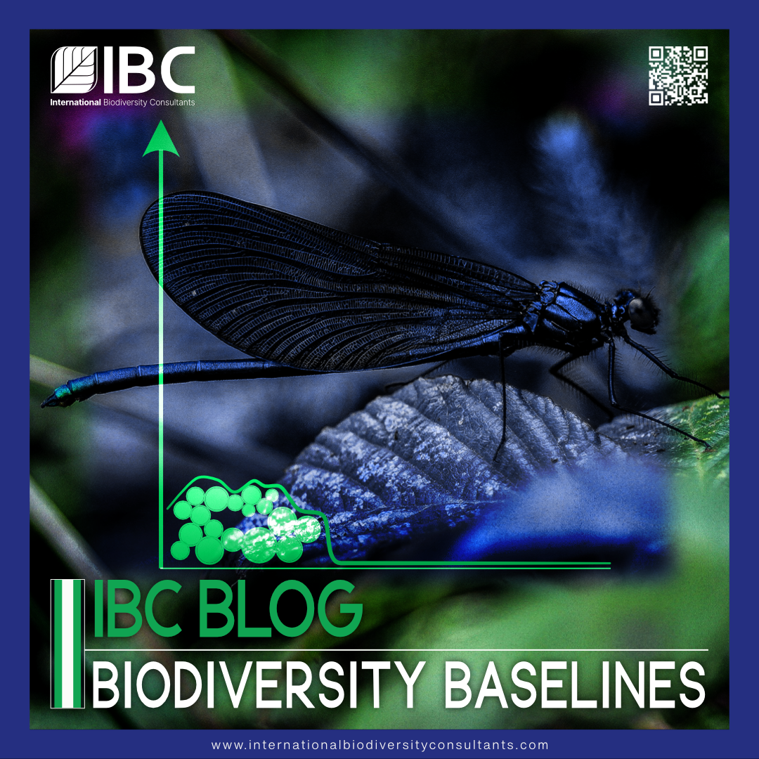 IBC Blog - Biodiversity Baselining in 2025