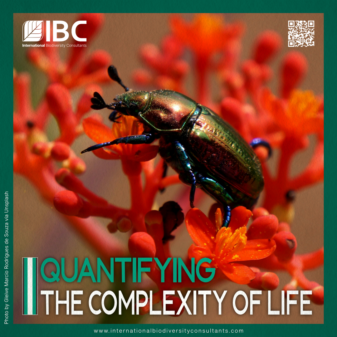 Quantifying the Complexity of Life