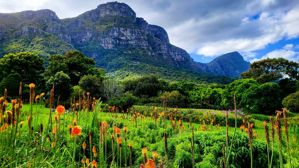 Table Mountain Ecosystems and Habitats