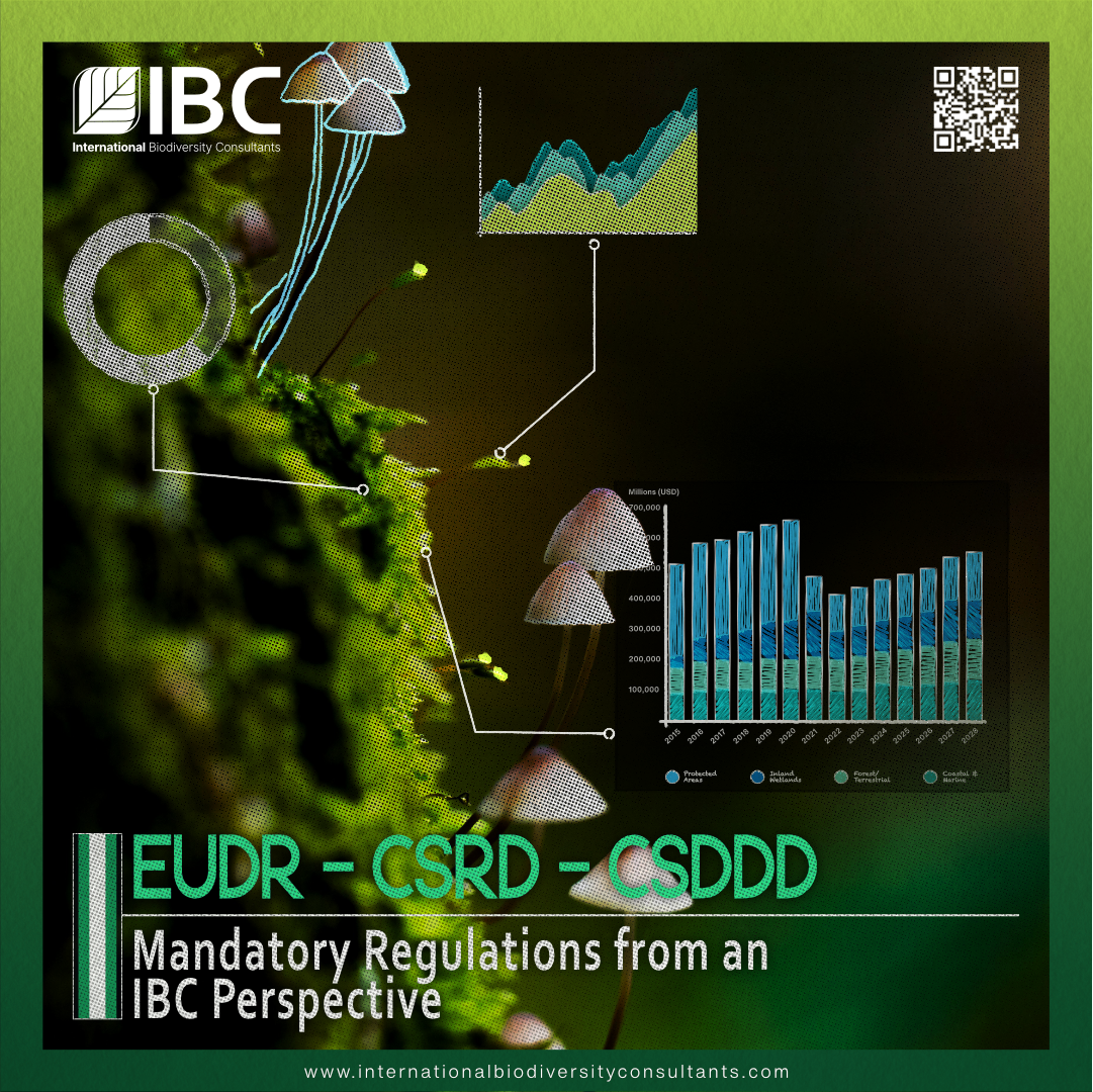 EUDR, CSRD, CSDDD – Mandatory Regulations from an IBC perspective