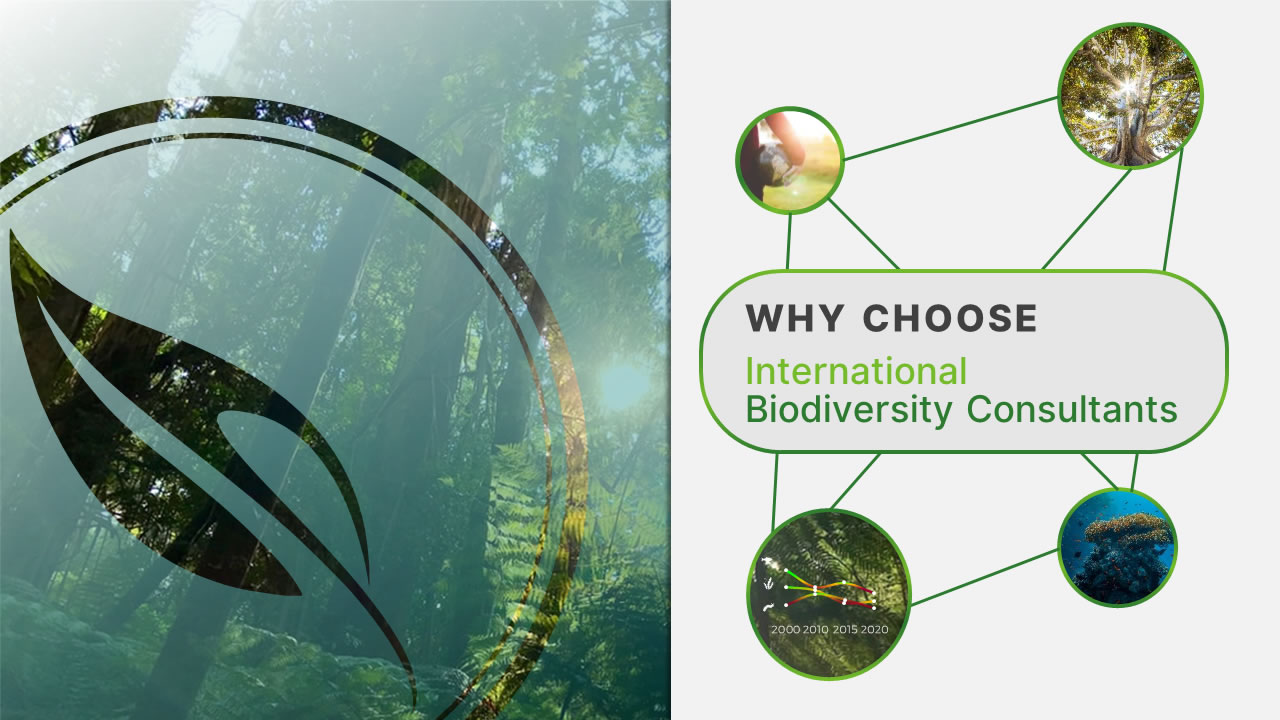 International Biodiversity Consultants - Services