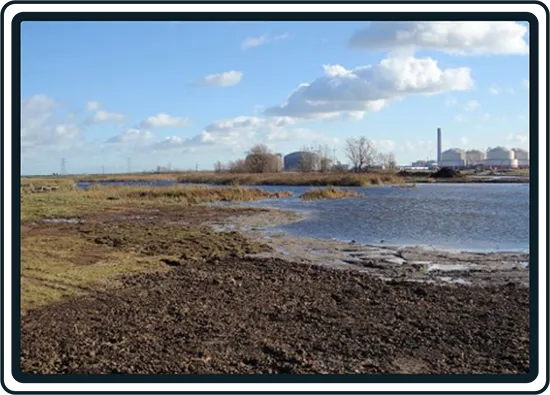 International Biodiversity Consultants - Ecological Restoration in Kent, UK