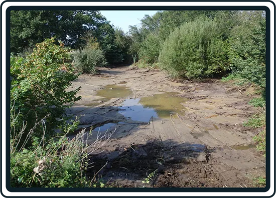 International Biodiversity Consultants - Ecological Restoration in Kent, UK
