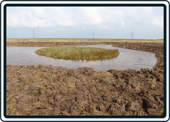 International Biodiversity Consultants - Ecological Restoration in Kent, UK