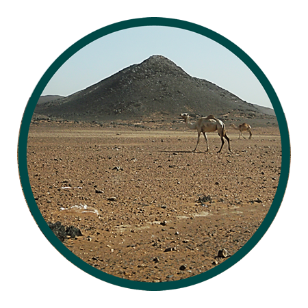 International Biodiversity Consultants - Biodiversity Due Diligence in Sudan